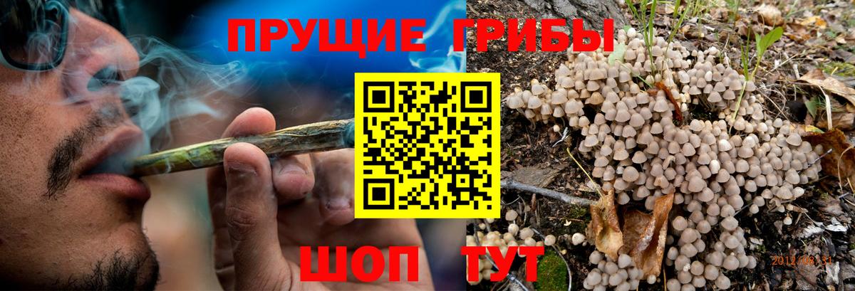 Псилоцибиновые грибы прущие грибы  Вход с VPN  Галлюциногенные грибы мухоморы  Зеленокумск 